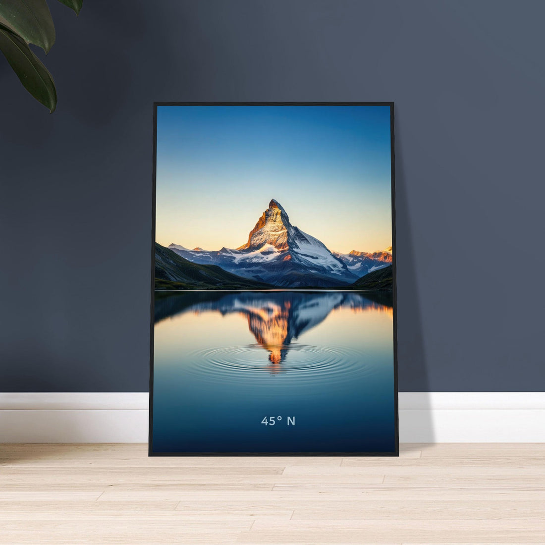 5cc0416c-8c12-4038-854d-69bc12fab30e