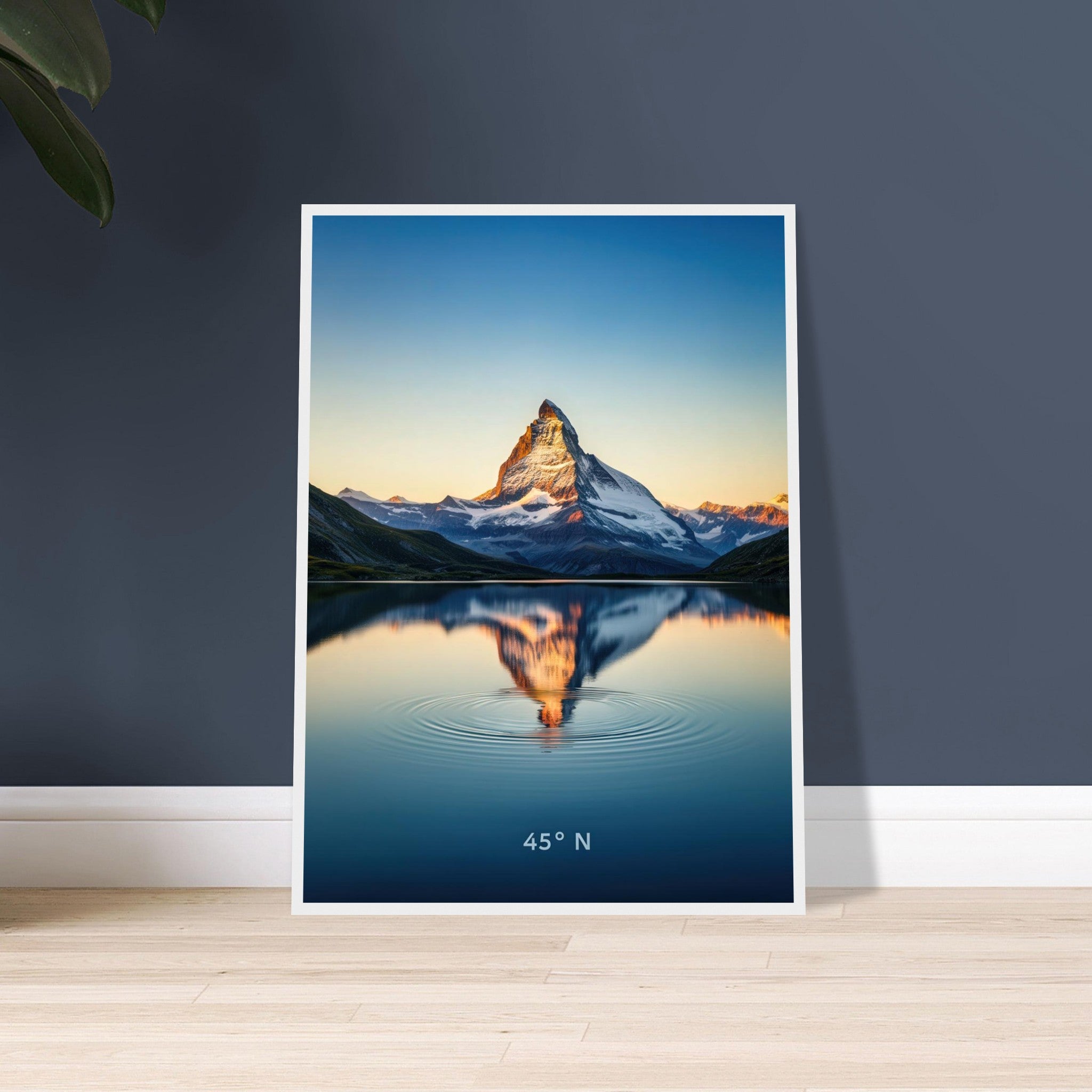 7f55c904-7477-4f95-9504-b80ea54855d6